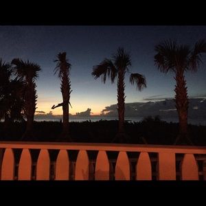 Meet your Posher, Jasmin